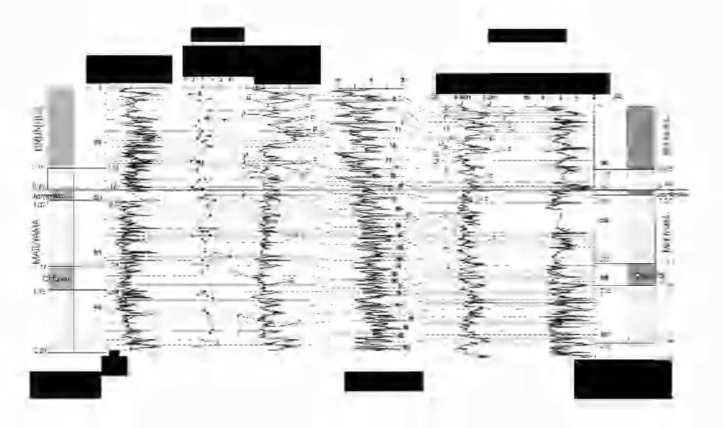 Átlagos szemcseátmérő (Mz) (Ф) 10 8 6 4 2 0 Vésztő (V-l)
