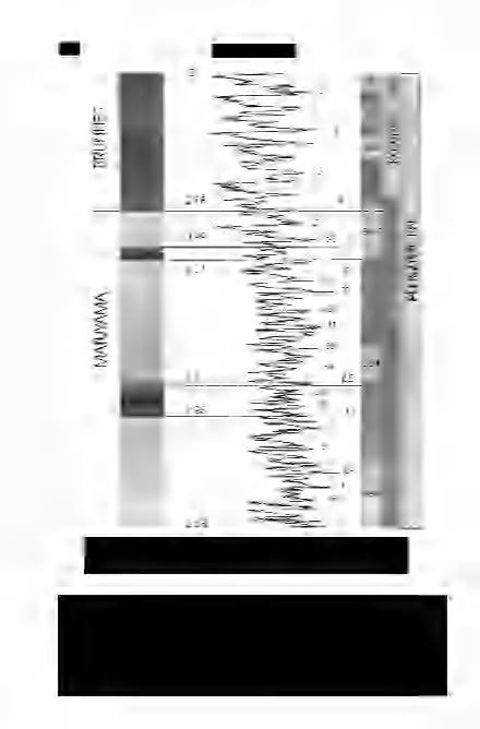626 Földtani Közlöny 130/4 5 4 3 Kontinentális Korok (Ma) és mágneses OOP 677 6 "07,. beosztás polaritás (Berggren et al.