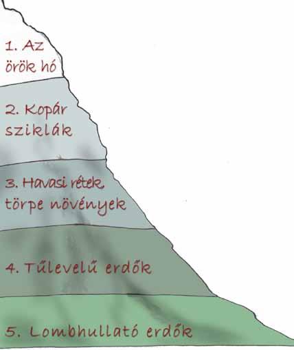 29. Melyik szinten él vagy van?