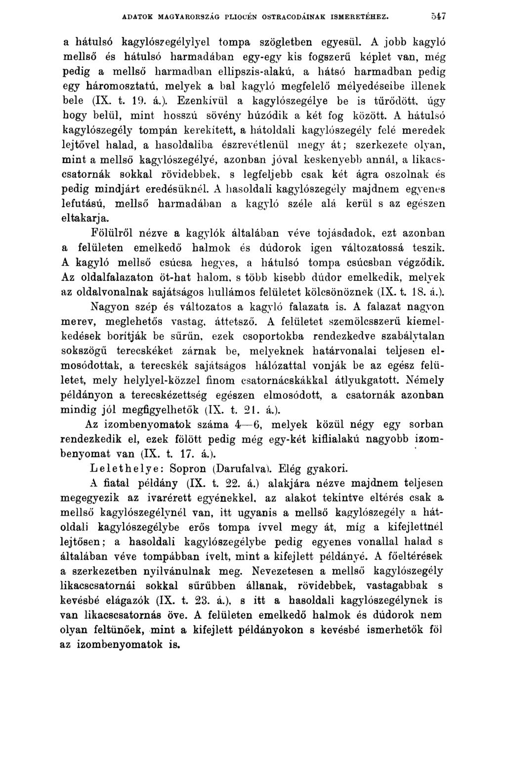 ADATOK MAGYARORSZÁG PLIOCÉN OSTRACODÁINAK ISMERETÉHEZ. 547 a hátulsó kagylószegélylyel tompa szögletben egyesül.