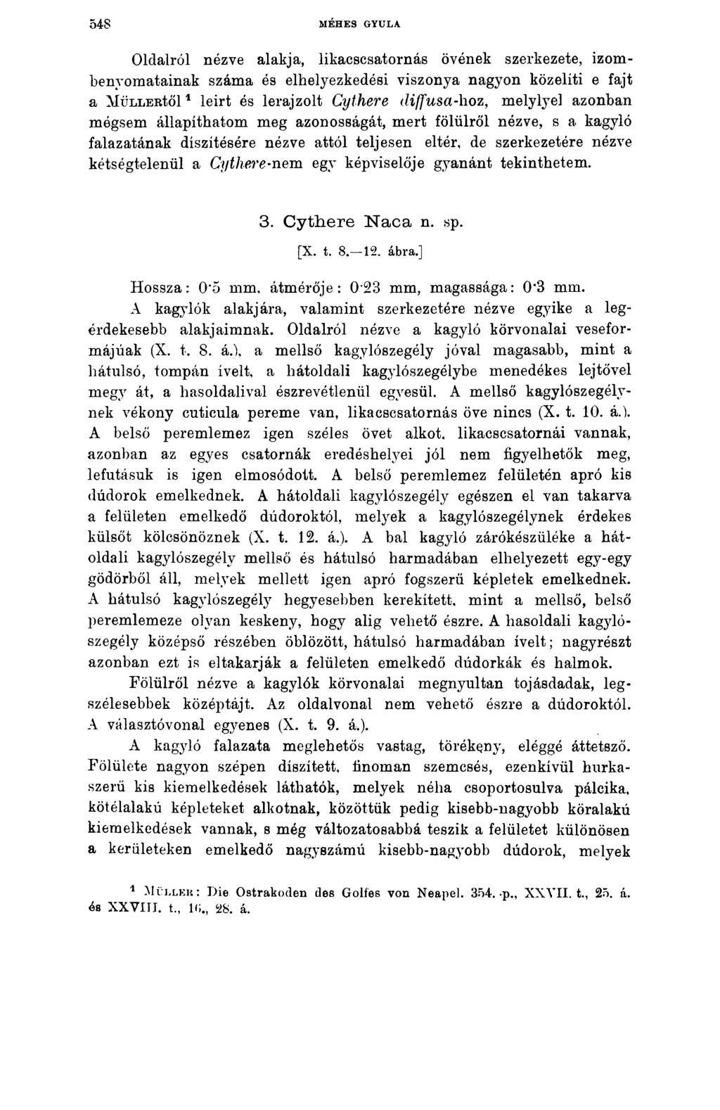 548 MÉHES GYULA Oldalról nézve alakja, likacscsatornás övének szerkezete, izombenyomatainak száma és elhelyezkedési viszonya nagyon közeliti e fajt a M üllertől1 leirt és lerajzolt Cythere