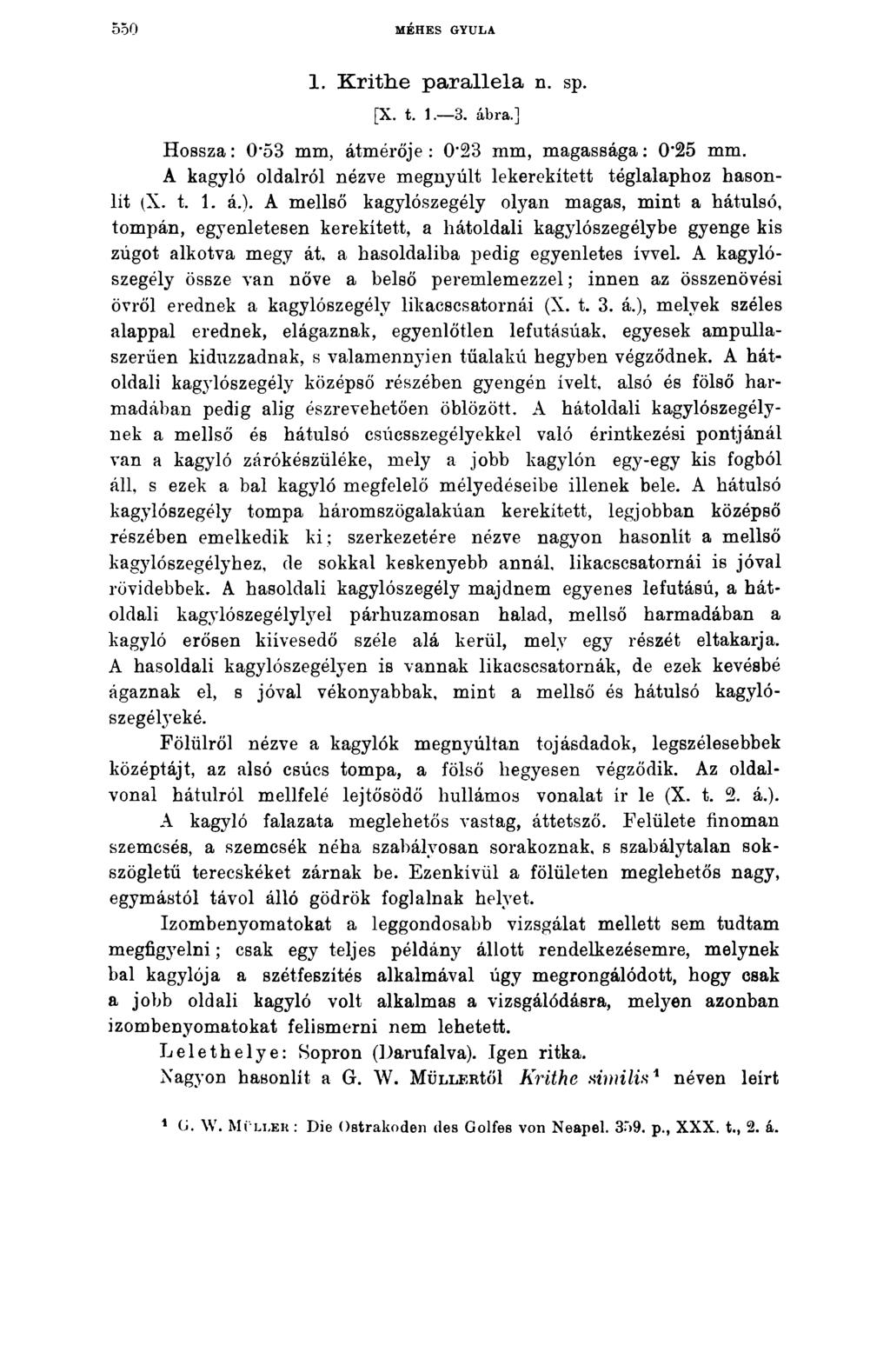 550 MÉHES GYULA 1. K rithe p arallela n. sp. [X. t. 1. 3. ábra.] Hossza: 0*53 mm, átmérője: 0 23 mm, magassága: 0*25 mm. A kagyló oldalról nézve megnyúlt lekerekített téglalaphoz hasonlít (X. t. 1. á.).