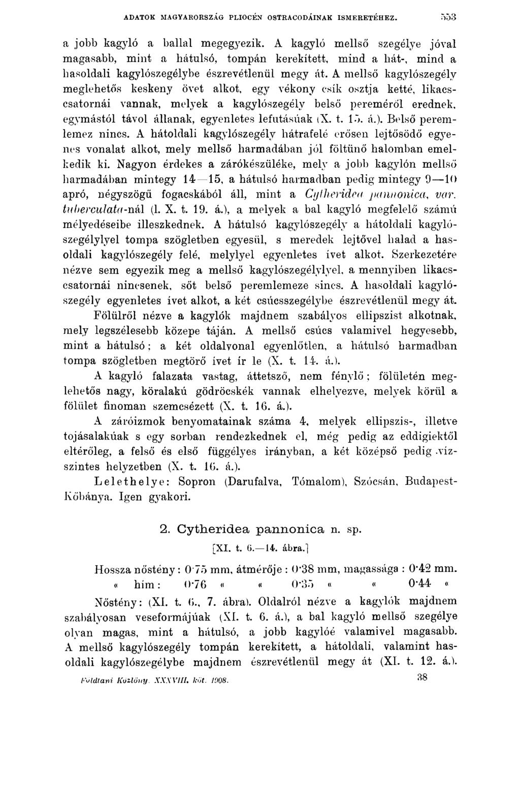 ADATOK MAGYARORSZÁG PLIOCÉN OSTRACODÁINAK ISMERETÉHEZ. 553 a jobb kagyló a ballal megegyezik.