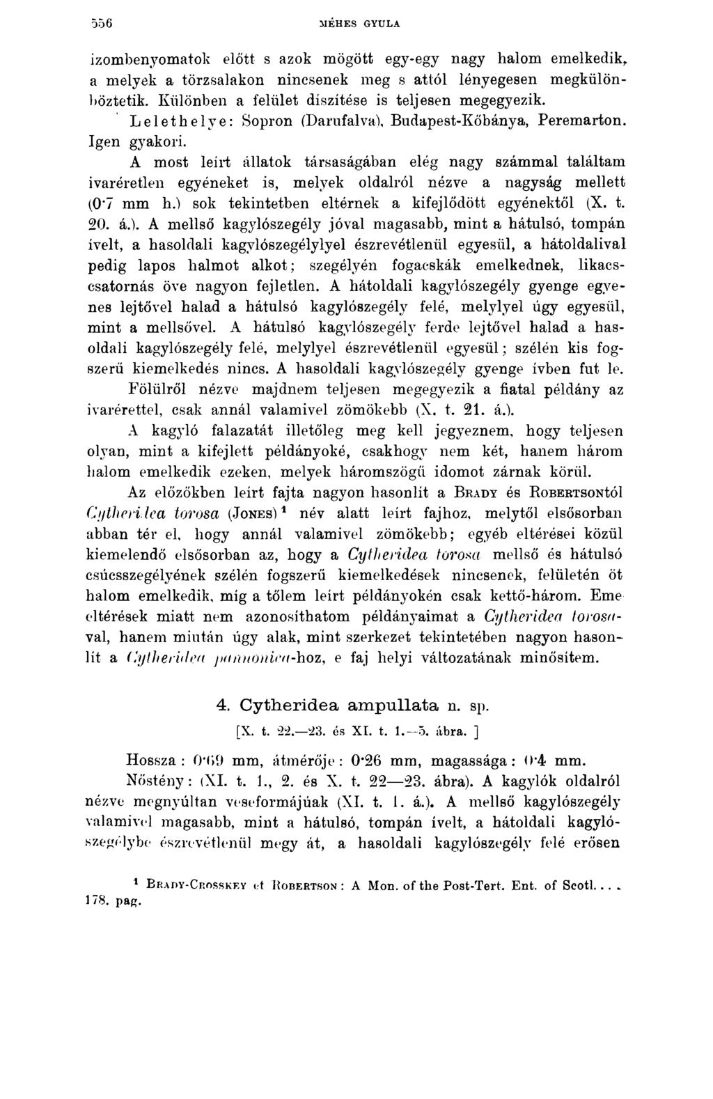 556 MÉHES GYULA izombenyomatok előtt s azok mögött egy-egy nagy halom emelkedik, a melyek a törzsalakon nincsenek meg s attól lényegesen megkülönböztetik.