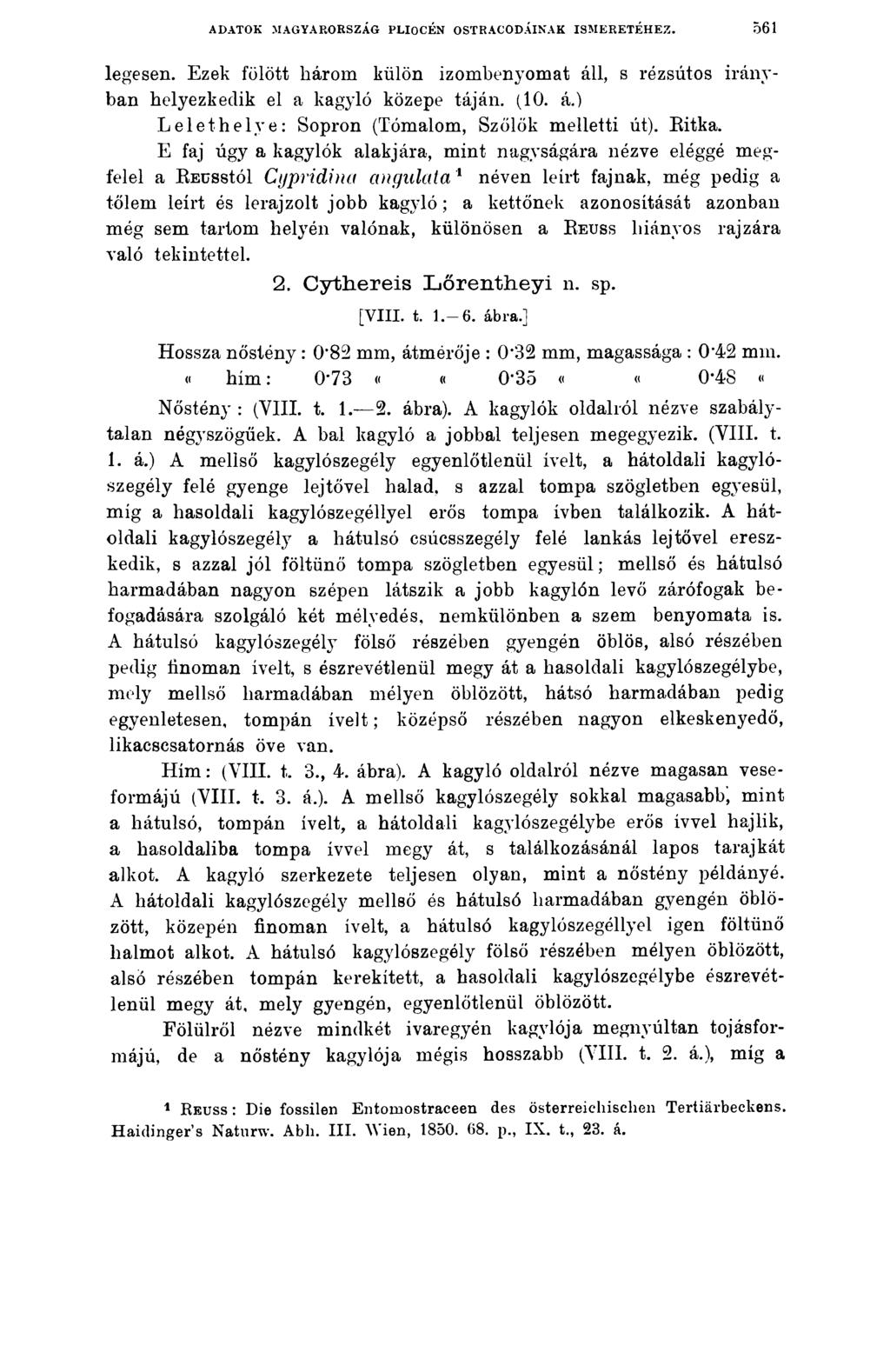 ADATOK MAGYARORSZÁG PLIOCÉN OSTRACODÁINAK ISMERETÉHEZ. 561 legesen. Ezek fölött három külön izombenyomat áll, s rézsútos irányban helyezkedik el a kagyló közepe táján. (10. á.) Lelethelye: Sopron (Tómalom, Szőlők melletti út).