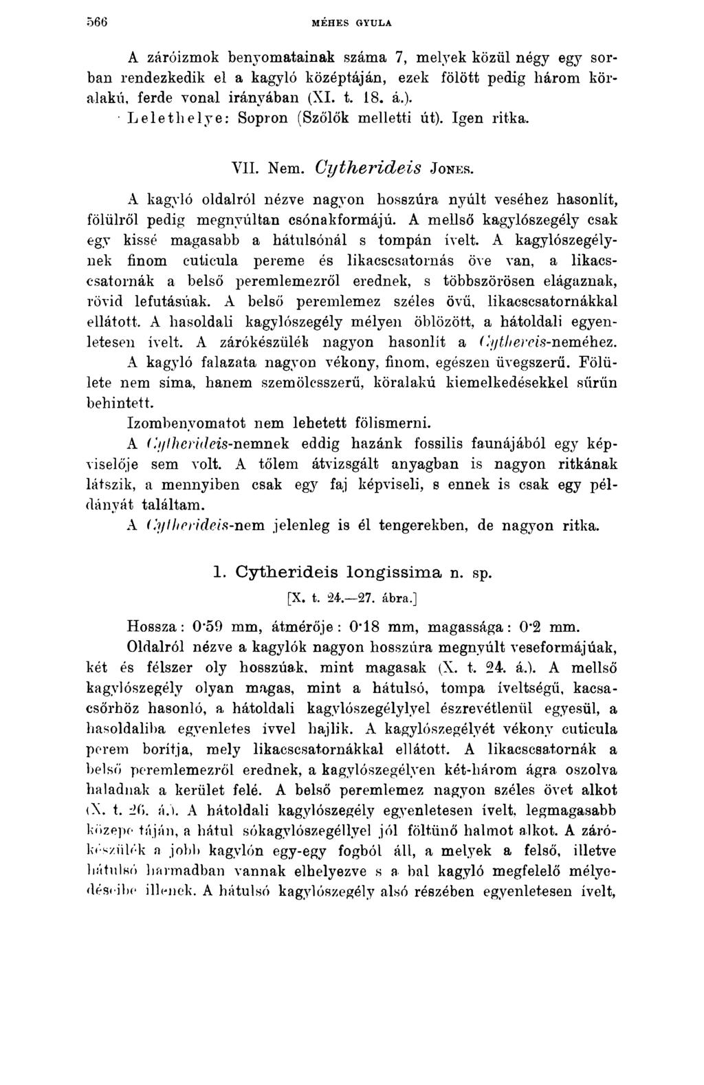 566 MÉHES GYULA A záróizmok benyomatainak száma 7, melyek közül négy egy sorban rendezkedik el a kagyló középtáján, ezek fölött pedig három köralakú, ferde vonal irányában (XI. t. 18. á.).