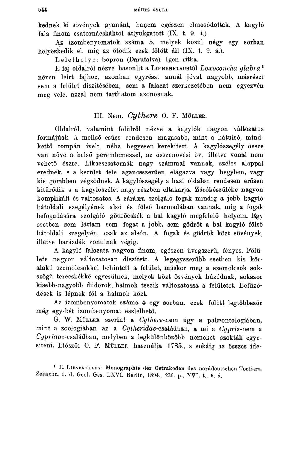 544 MÉHES GYULA kednek ki sövények gyanánt, hajjem egészen elmosódottak. A kagyló fala finom csatomácskáktól átlyukgatott (IX. t. 9. á.).