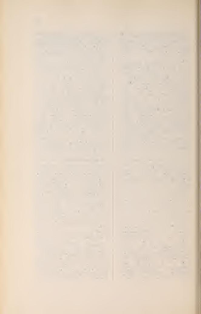 Biodiversity Heritage Library, http://www.biodiversitylibrary.org/ www.zobodat.