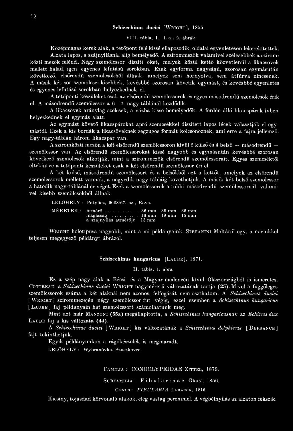 A másik két sor szemölcsei kisebbek, kevésbbé szorosan követik egymást, és kevésbbé egyenletes és egyenes lefutású sorokban helyezkednek el.