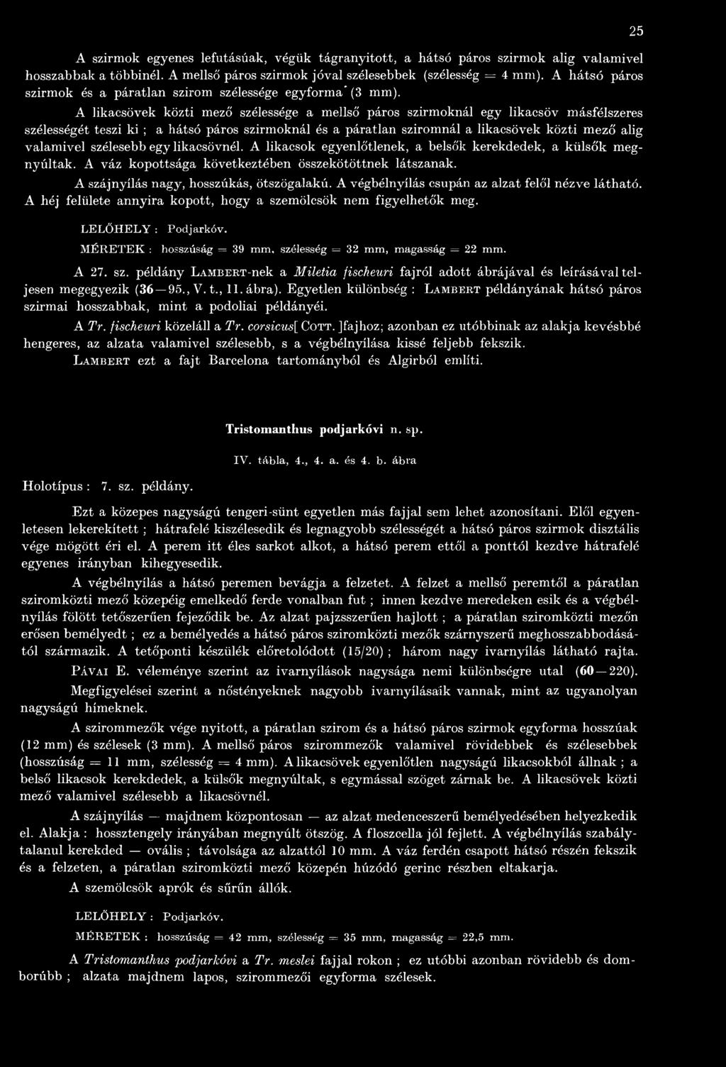 A végbélnyílás csupán az alzat felől nézve látható. A héj felülete annyira kopott, hogy a szemölcsök nem figyelhetők meg. 25 LELŐ H ELY : Podjarkóv.