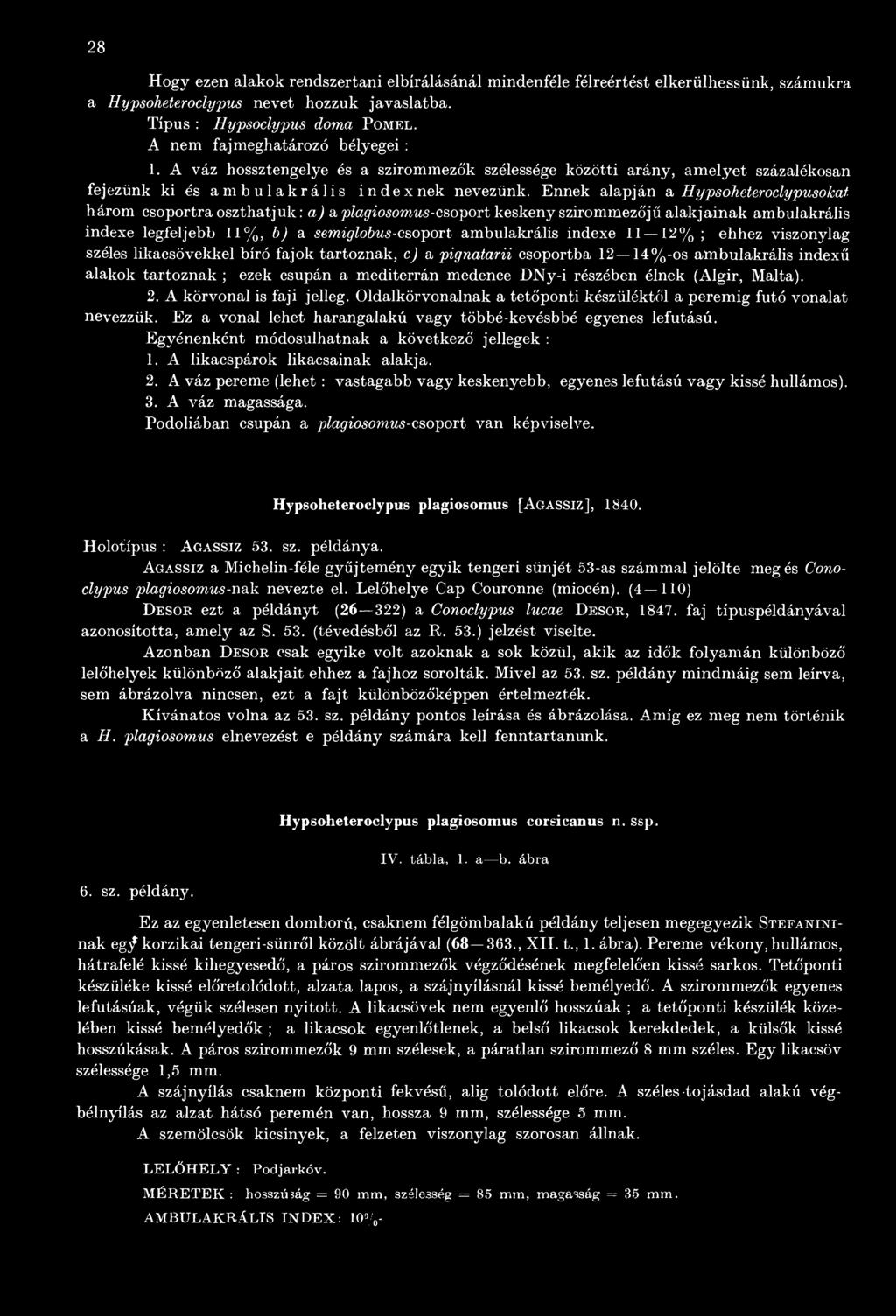 Ennek alapján a HypsoTieteroclypusokat három csoportra oszthatjuk: a) a plagiosomus-csoport keskeny szirommezőjű alakjainak ambulakrális indexe legfeljebb 11%, b) a semiglobus-csoport ambulakrális