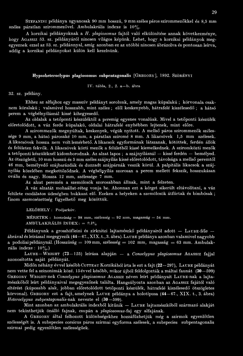 példányáról nincsen világos képünk. Lehet, hogy. a korzikai példányok megegyeznek ezzel az 53. sz.