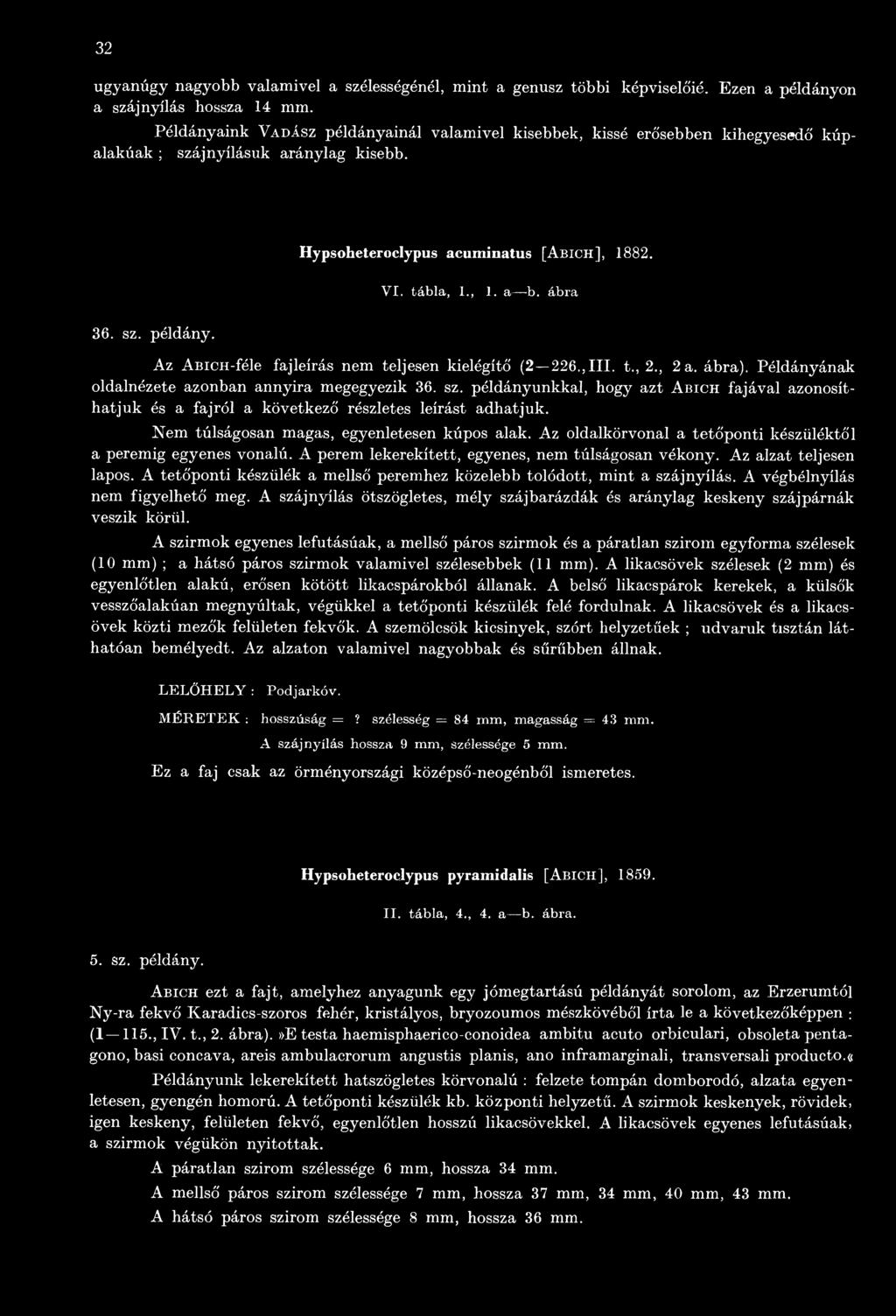 Az oldalkörvonal a tetőponti készüléktől a peremig egyenes vonalú. A perem lekerekített, egyenes, nem túlságosan vékony. Az alzat teljesen lapos.