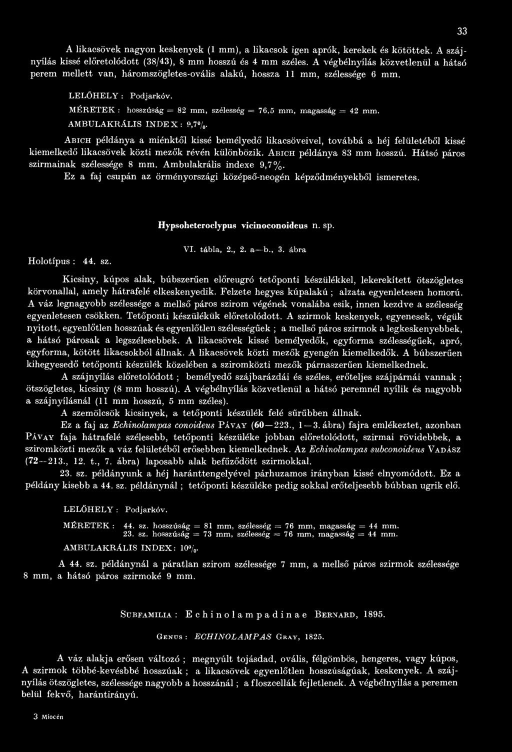 Hátsó páros szirmainak szélessége 8 mm. Ambulakrális indexe 9,7%. Ez a faj csupán az örményországi középső-neogén képződményekből ismeretes. Hypsoheteroclypus vicinoconoideus n. sp. Holotípus : 44.