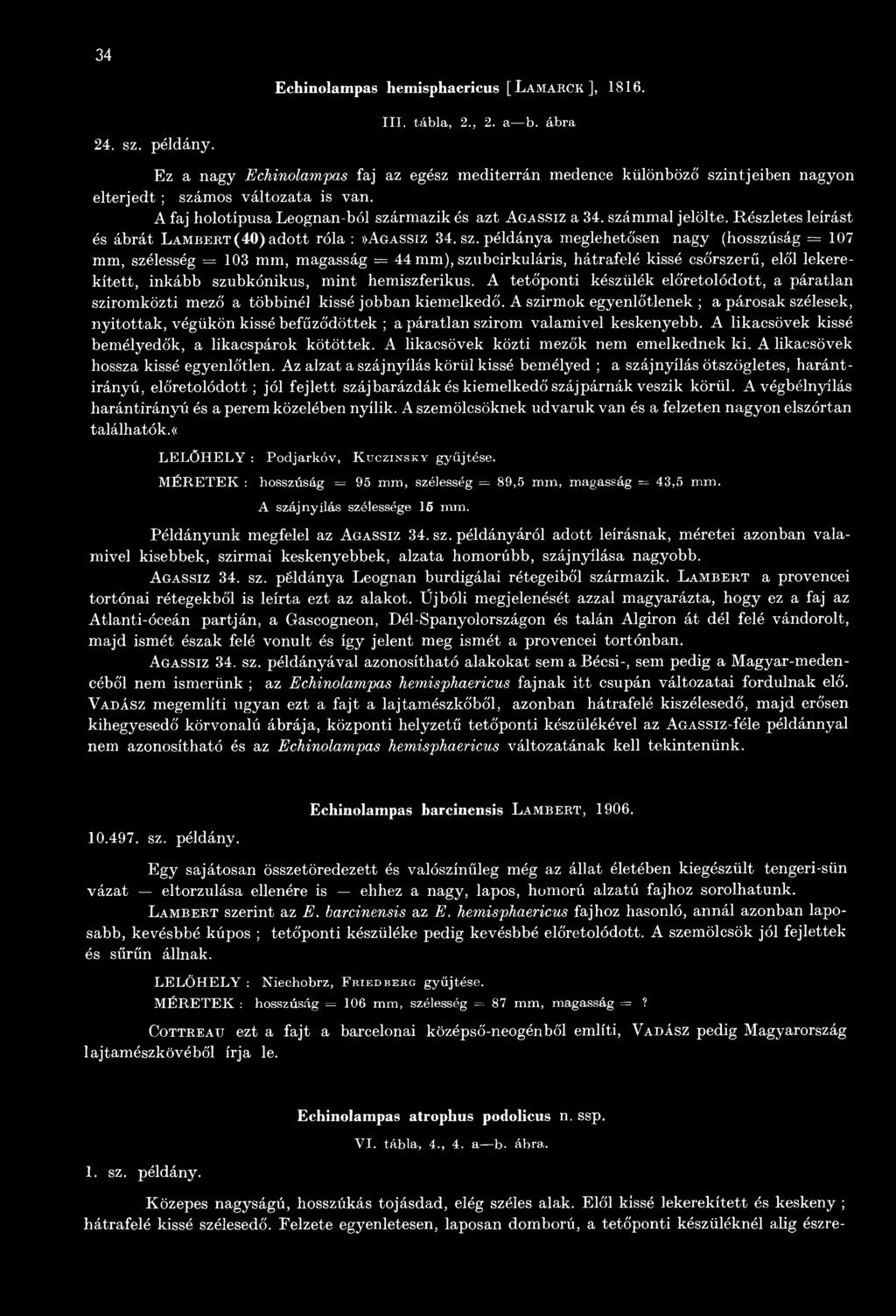 számmal jelölte. Részletes leírást és ábrát Lambbet (40) adott róla :»Agassiz 34. sz.