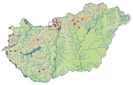 mintavételezés ideje a gerinctelen sávos bödöncsiga 16 szervezetek életciklusához (későbbi lárvastádiumok jelenléte) és a kisvizes időszakokhoz (nagyobb mintázható terület) igazodik.