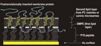 részecskék, nanoméretű