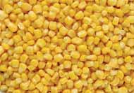 Bazsalikom 8 250 g Kakukkfű 8 250 g Kapor 10 1000g Metélőhagyma 5 1000 g Tárkony 8 250 g