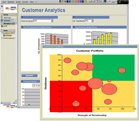 Vevői portfolió elemzés SAP 2004,