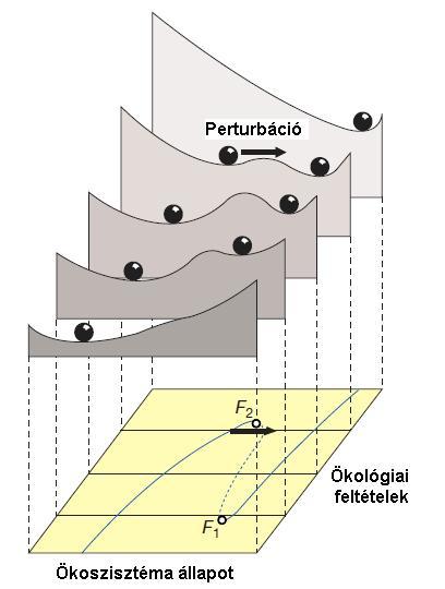 Guidek, közösségek szerveződési szabályai - 4 Alternatív közösségek léteznek? A közösségek nyitott rendszerek, ahová fajok be- és kiléphetnek (szűrőfeltételek!