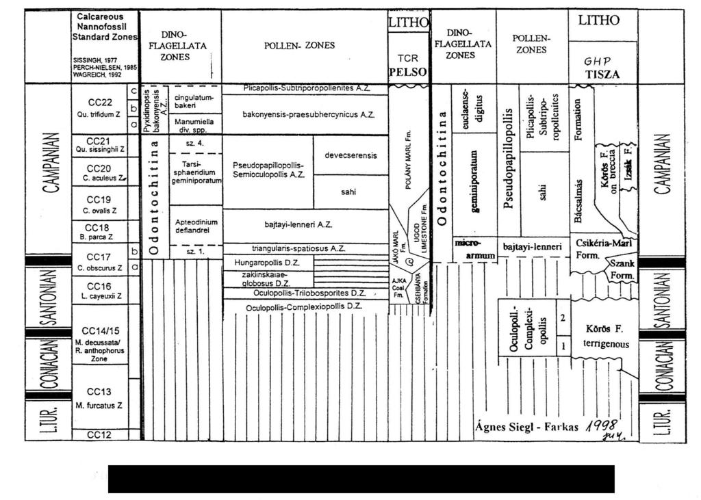 Table 4. Siegl Farkas Á.