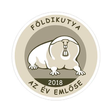A betolakodó ötéves hím a revírben élő öreg hím egyeddel keveredett nézeteltérésbe. A sasok az év teljes időszakában agresszíven védik területüket a fajtársaikkal szemben.