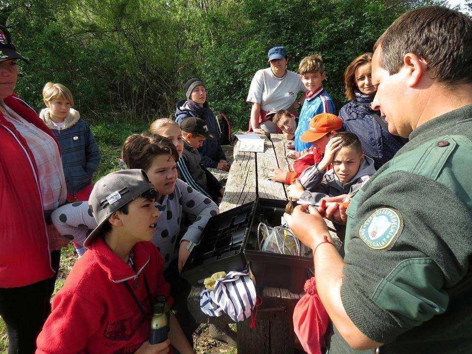 A Duna-Dráva Nemzeti Park Igazgatóság hírlevele 2017.