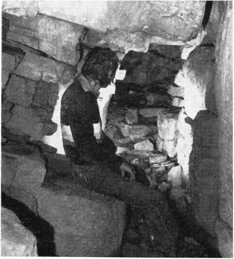 Atektonikus bazaltbarlang: a Vadlány-lik An atectonic hasalt cave: the Vadlány-lik pontjából globálisan három csoportba sorolhatjuk a vonatkozó irodalmat, úgymint: 1.