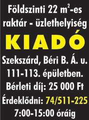 06-30/905-1306 SZOLGÁLTATÁS Alsótagozatos gyermekek számára korrepetálást vállalok. Telefon: 20/263-7965 Háztartási gép javítás!