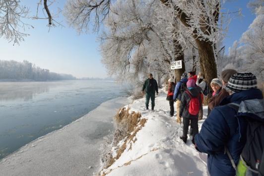Tematikus túrák, közös megjelenések, kampányok Téli túrák nemzeti