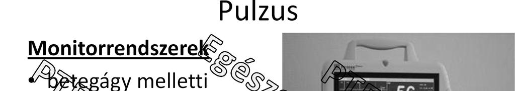 Pulzus