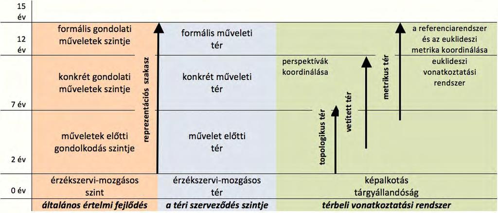 A gyermekek térfogalmának fejlődési szakaszai A térérzékelés komplex képesség, amely az érzékelésen, észlelésen kívül szellemi tevékenységeket is kíván, ezért térbeli gondolkodásnak tekinthető.