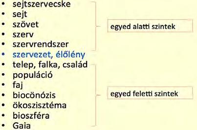 - Az adott helyen élő egymással szaporodási közösséget alkotó egyedek és csoportok együtt alkotják a populációt.