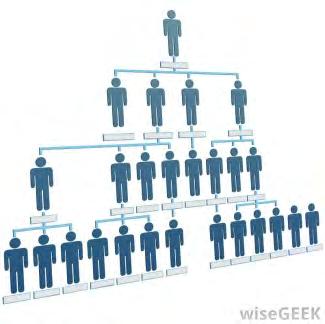 Ennek változata a pókháló, amelynek ugyan van valamiféle geometriai közepe, de a háló szemei (a fonalak kapcsolódási pontjai) ugyanúgy egyenrangúak, mint a halászhálóé (6.13. ábra)