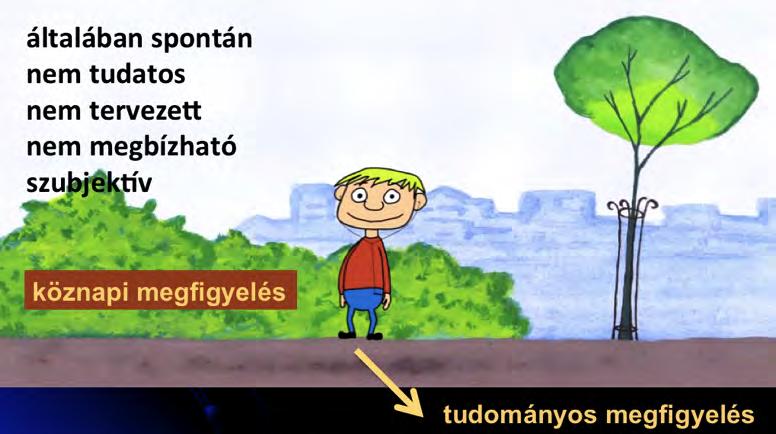 Ha a gyerekek elé teszünk egy cserép muskátlit, és mindössze annyit mondunk nekik, hogy figyeljétek meg jól, várhatóan nagyon sok és sokféle információt gyűjtenek róla (például olyanokat, hogy csorba