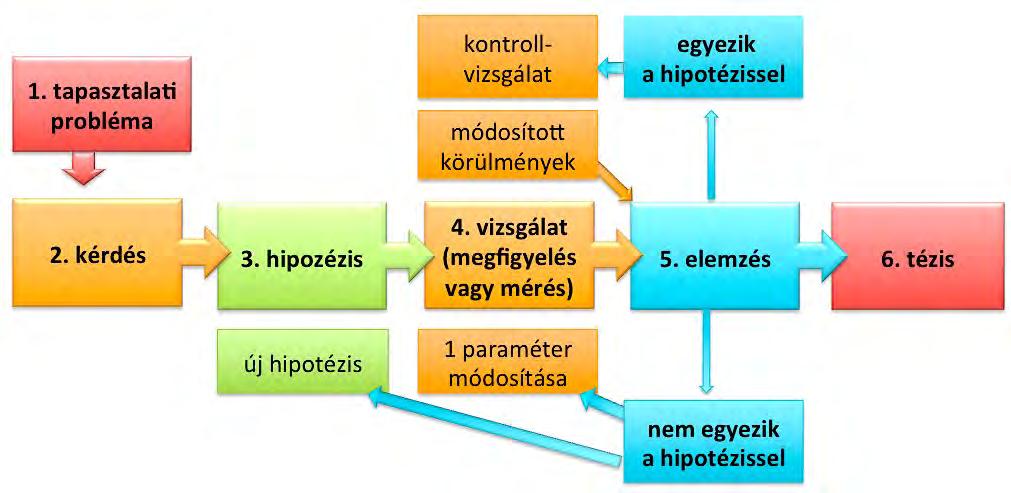 garantálni ennek a követelménynek a megvalósulását. A kísérlet fontos jellemzője az is, hogy tetszés szerint megismételhető, és azonos paraméterek esetén azonos eredményt ad.