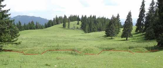 A védelmi vonal maradványai az Égett-butkán osztály fălticeni-i 56. gyalogezrede a Bélbori-medencét foglalta el (négy zászlóalj), a Piatra Neamț-i 55.