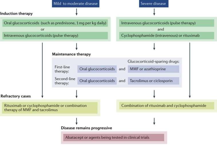 Myositis asszociált intersticiális tüdőbetegség Adapted from Moghadam-Kia, S., Oddis, C. V. & Aggarwal, R. Update on the treatment of myositis.