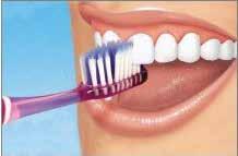 meg fogait és ínyét. Célszerű az alsó és felső fogsort külön tisztítani. A fogak belső (nyelv felöli) oldalát is ugyanilyen módon tisztítsa.