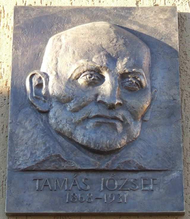 TAMÁS JÓZSEF EMLÉKTÁBLA Az emléktáblán látható: Tamás József