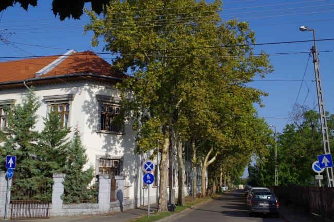 Helyi védelemre javasolt táji, természeti értékek Sorszám A táji és természeti érték megnevezése Javasolt védettségi fok 3
