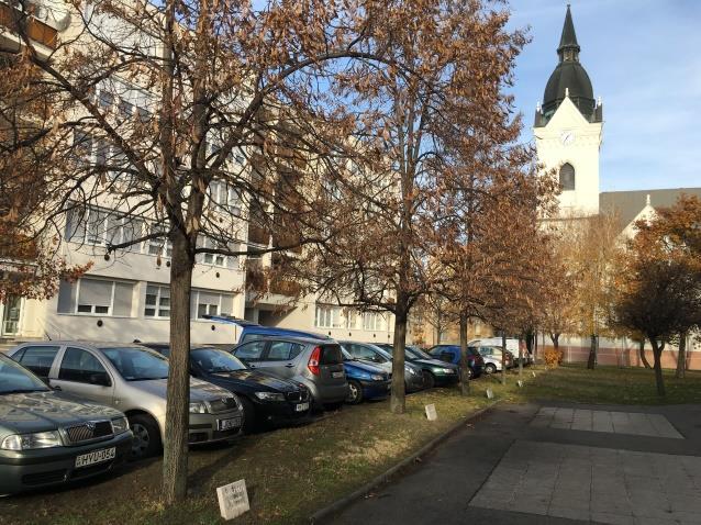 Helyi védelemre javasolt táji, természeti értékek Sorszám A táji és természeti érték megnevezése