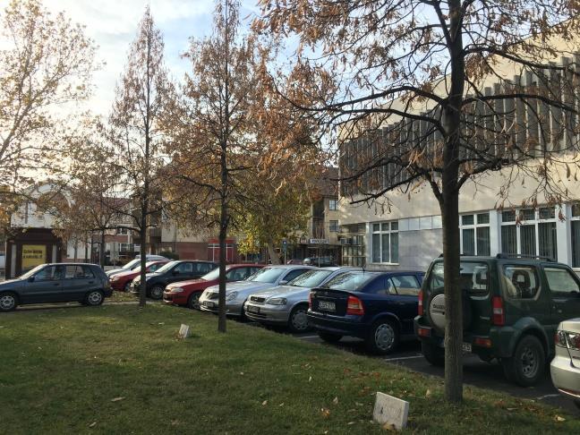 , utcanév, földrajzi név) Luther Márton tér, Hrsz: 2642 Leírás, jellemzők, védendő érték Intézkedési