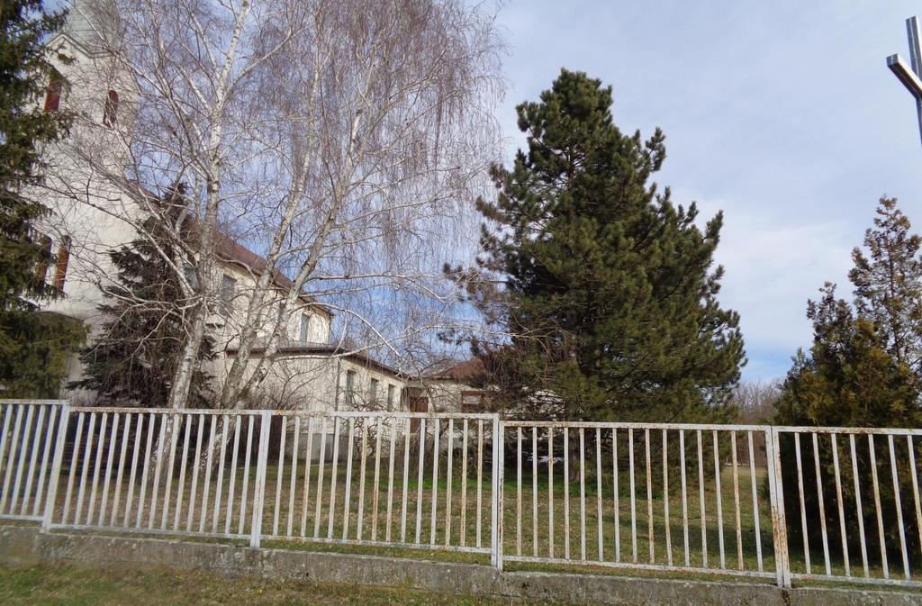 Az örökzöld fenyők és tuják méltósággal szegélyezik a templom feljáratát.