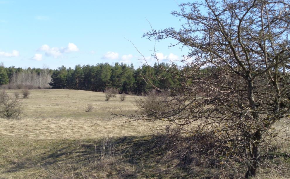 A felújított művelődési ház méltó hátteret biztosit az emlékműnek és a kis parknak. A Látóhegy természeti környezetünk öröksége.