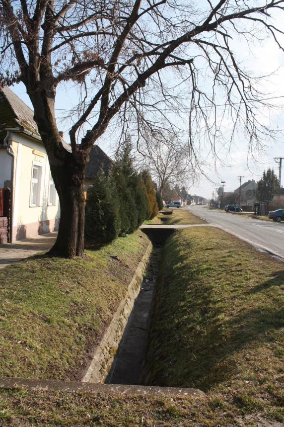 Az árok és a járda közötti zöld sávba telepített növényzet gazdagítja az utcaképet, főleg,