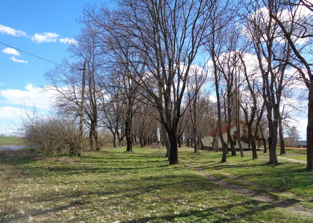 asztalok, és szabadtéri körszínpad is található a területen.