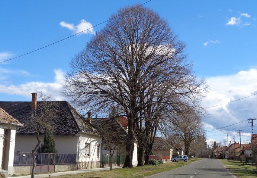 kialakítású.