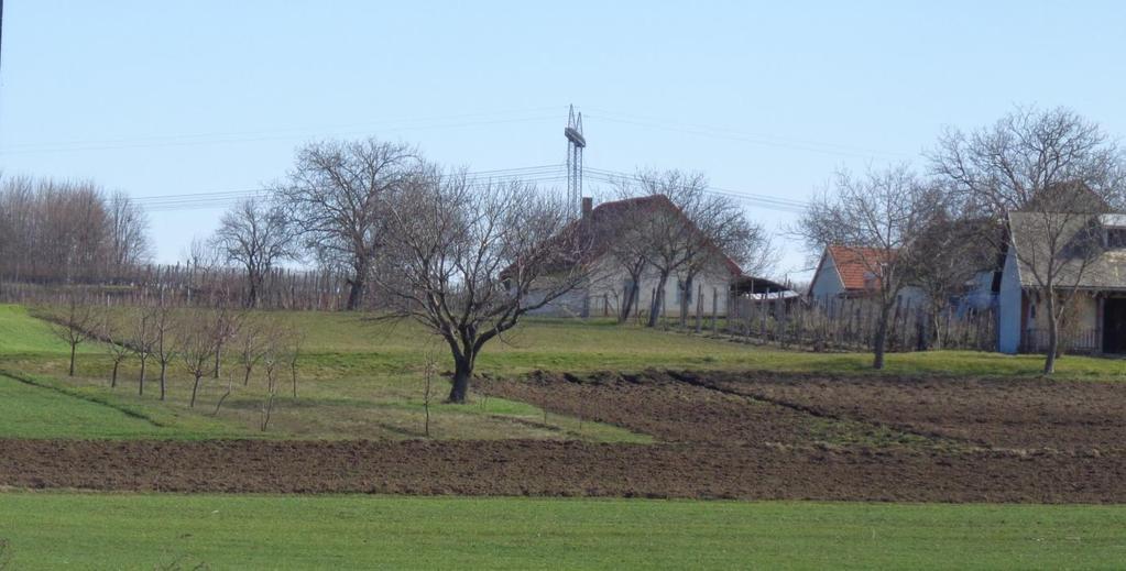 77 Kiskert művelésű területek is vannak a falu szomszédságában, illetve attól távolabb.
