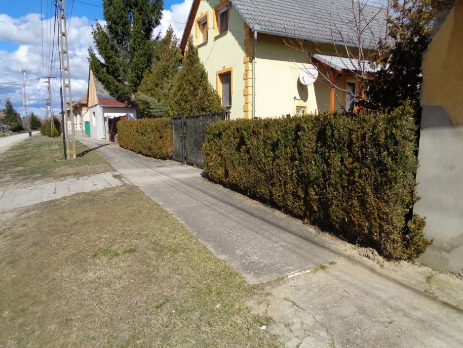 91 A vaskerítések merevségét oldja az örökzöld növényzet.